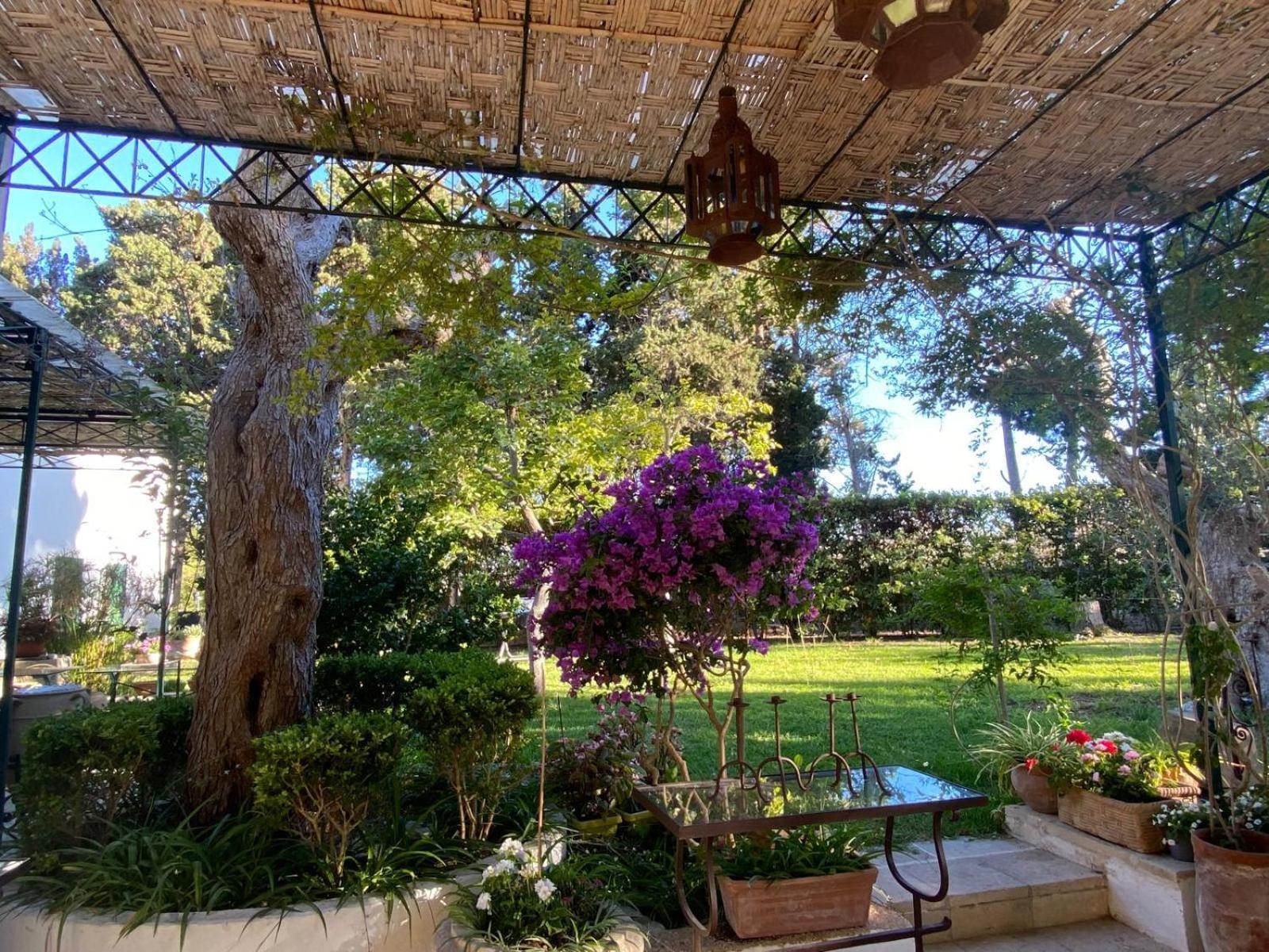 Tenuta Belvedere Otranto Exterior photo